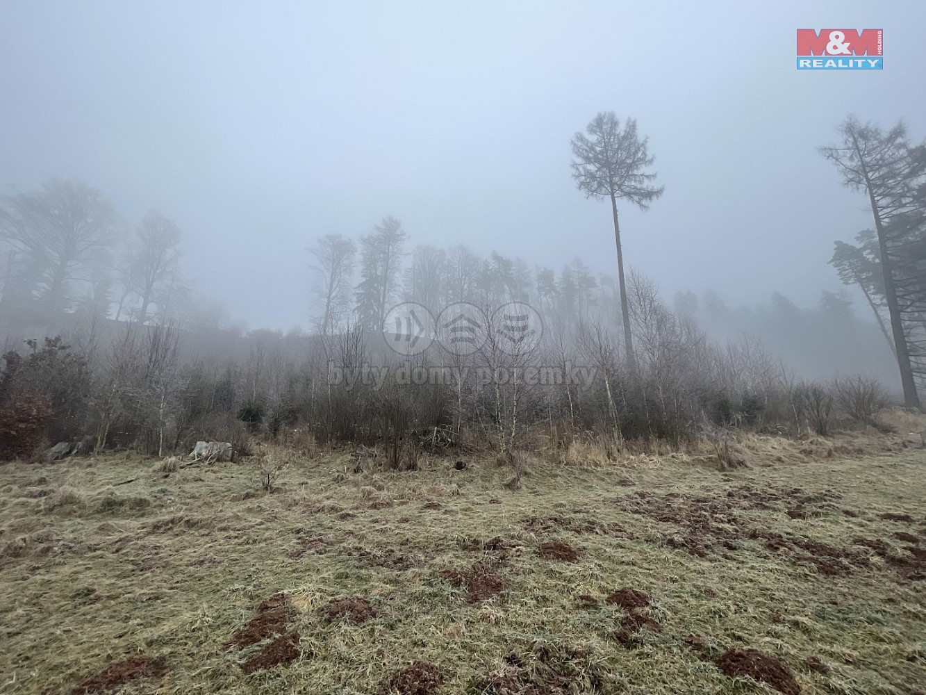 Prodej lesa 20 974 m² – fotografie 5