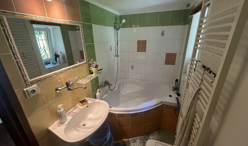 Prodej chalupy 200 m², Bousín – náhled fotky 43