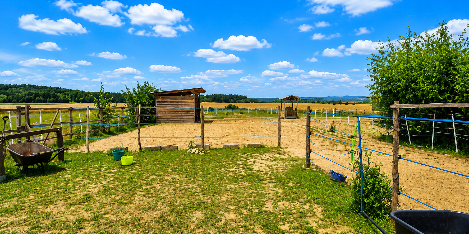 Fotka 11 z 11