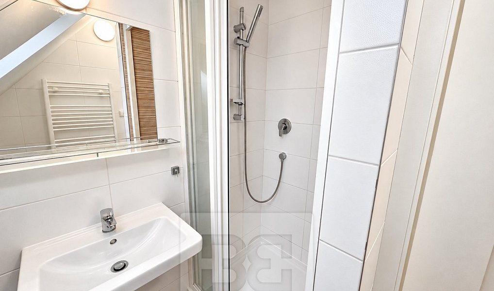 Pronájem bytu 4+kk 99 m², Praha – náhled fotky 19