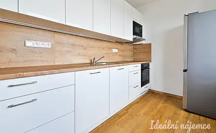Pronájem bytu 2+1 55 m², Bakalovo nábřeží, Brno - Štýřice