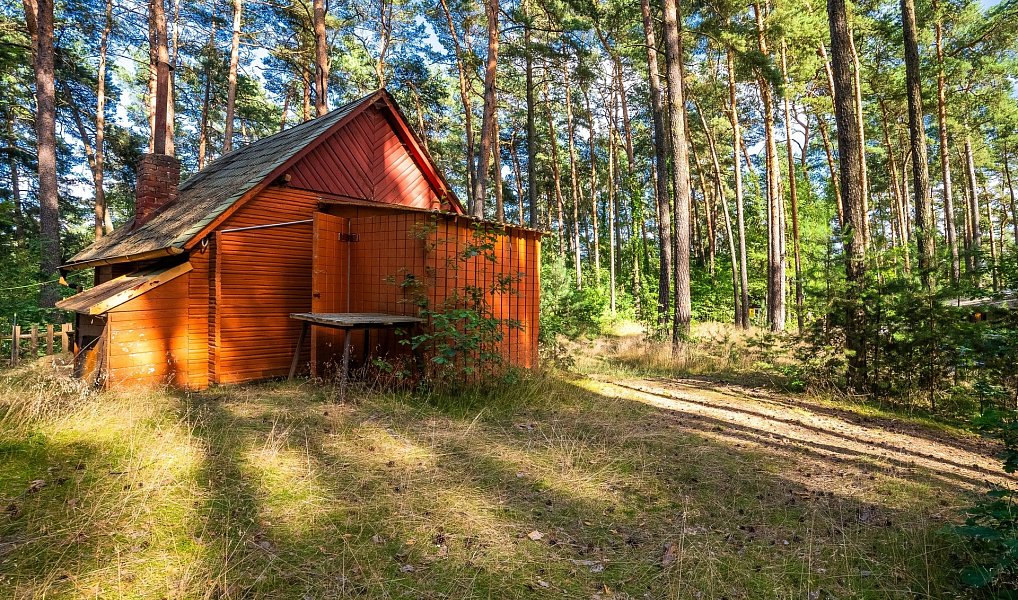 Prodej chaty/chalupy 36 m² s pozemkem 36 m², Hamr na Jezeře – náhled fotky 2