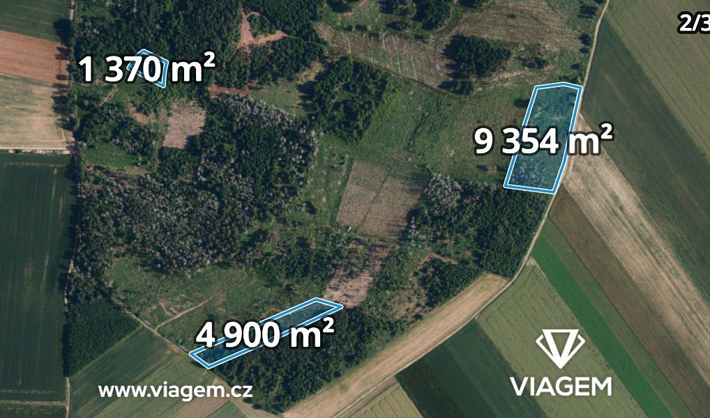 Prodej lesa 12 665 m², Radkovice u Budče – náhled fotky 5