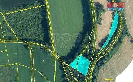 Prodej lesa 6 063 m², Úvalno, okres Bruntál