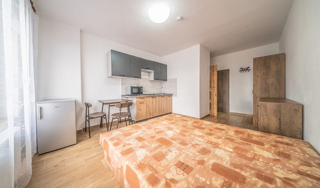 Pronájem bytu 1+kk 25 m², Ústí nad Labem – náhled fotky 5