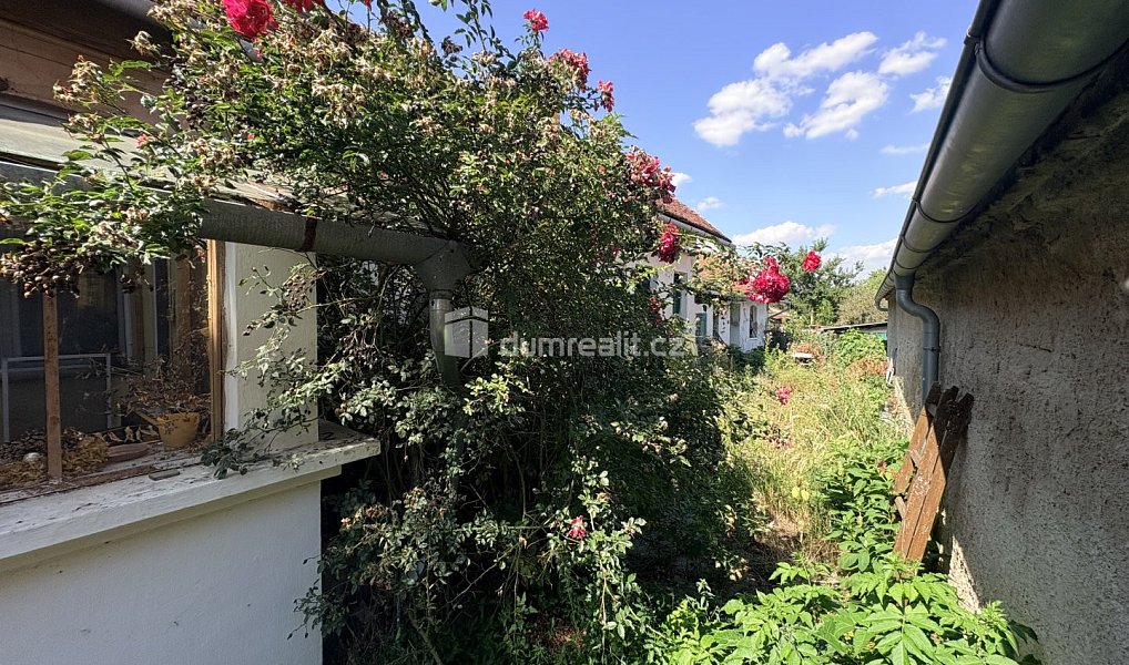 Prodej stavebního pozemku 641 m², Pohořelice – náhled fotky 4