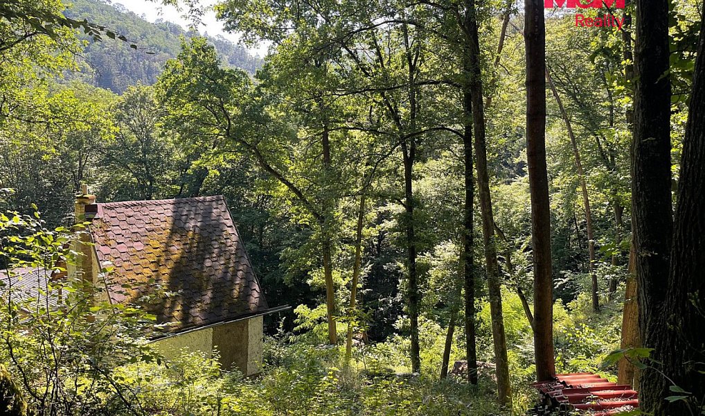 Prodej chaty/chalupy 22 m² s pozemkem 1 386 m², Branov – náhled fotky 12