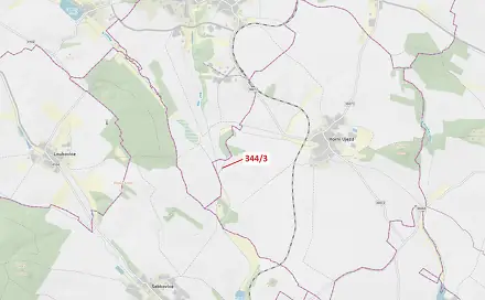 Dražba lesa 264 m², Šebkovice