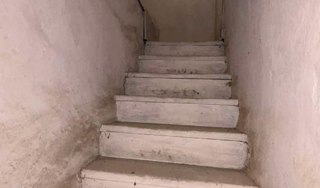 Prodej domu 240 m² s pozemkem 1 457 m², Dvorce – náhled fotky 15