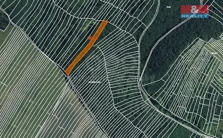 Prodej lesa 3 219 m², Horní Bojanovice, okres Břeclav