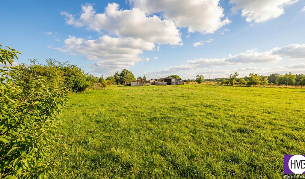 Prodej komerčního pozemku 6 493 m², Svrkyně – náhled fotky 10