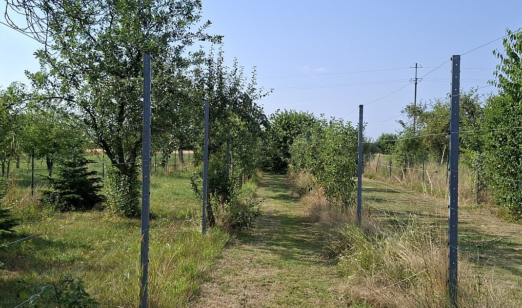 Prodej zahrady 894 m², Troubky – náhled fotky 7
