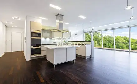 Pronájem bytu 6+kk 297 m², Na Hřebenkách, Praha 5 - Smíchov