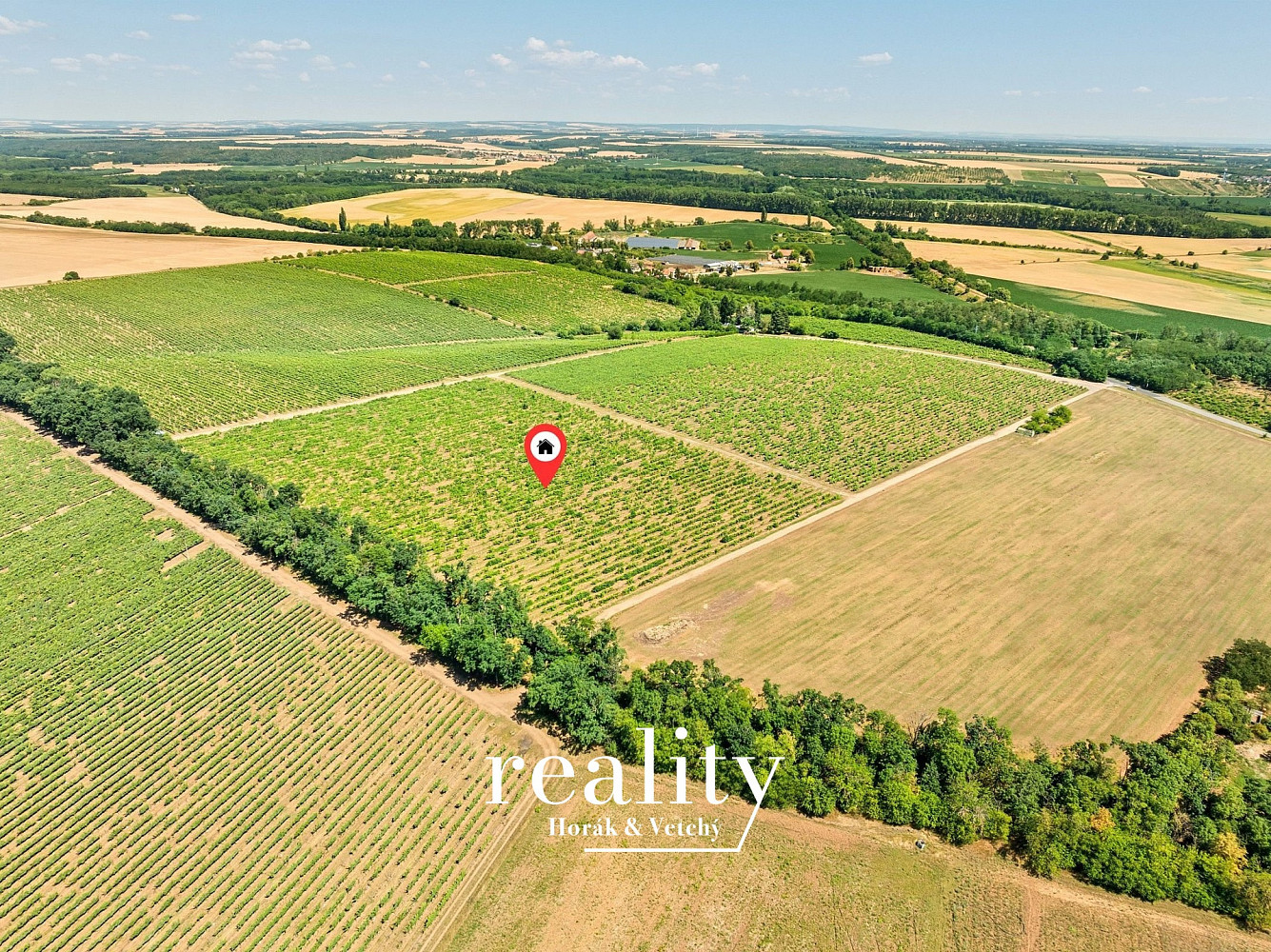 Prodej pole 33 963 m² – fotografie 4