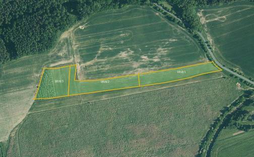 Prodej pole 19 046 m², Radnice - Svatá Barbora, okres Rokycany