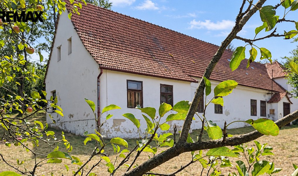 Prodej chaty/chalupy 200 m² s pozemkem 1 001 m², Rodkov – náhled fotky 3