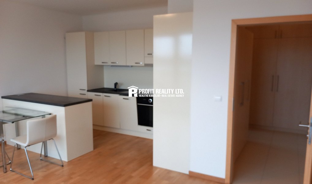 Pronájem bytu 2+kk 53 m², Praha – náhled fotky 4