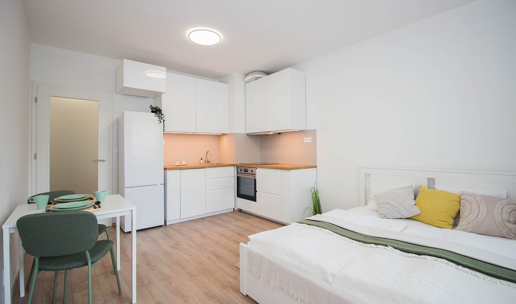 Pronájem bytu 1+kk 29 m², Brno – náhled fotky 10