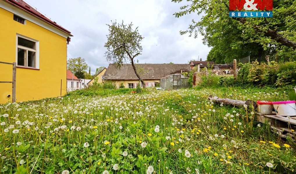 Prodej domu 330 m² s pozemkem 264 m², Černovice – náhled fotky 9