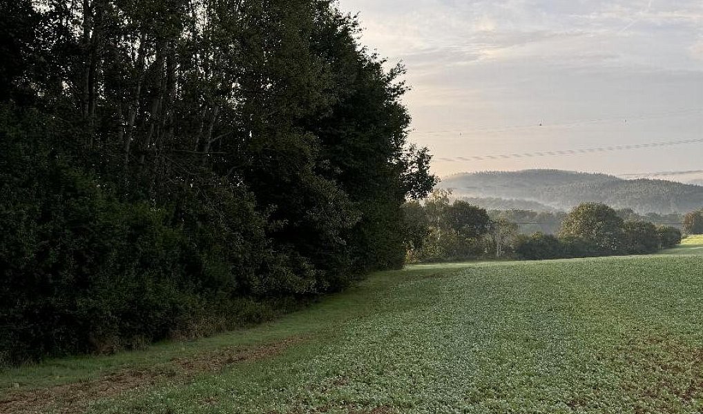 Prodej pozemku 3 584 m², Blíževedly – náhled fotky 3