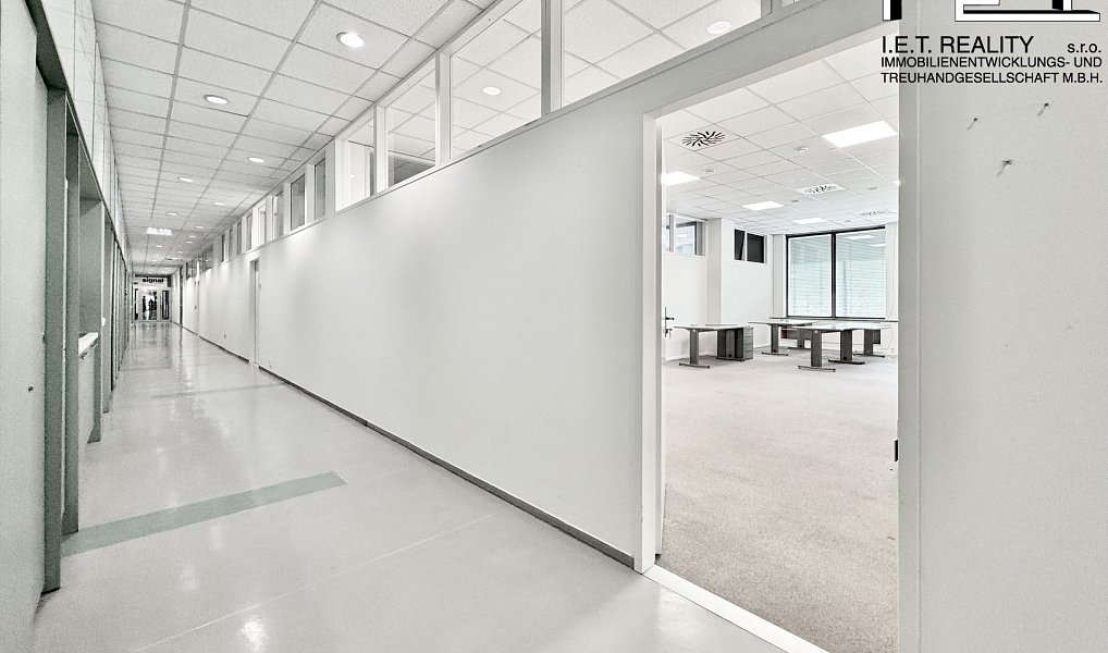 Pronájem kanceláře 62 m², Brno – náhled fotky 3