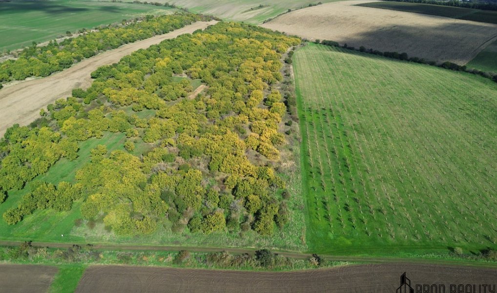 Prodej pozemku 14 896 m², Hustopeče – náhled fotky 7