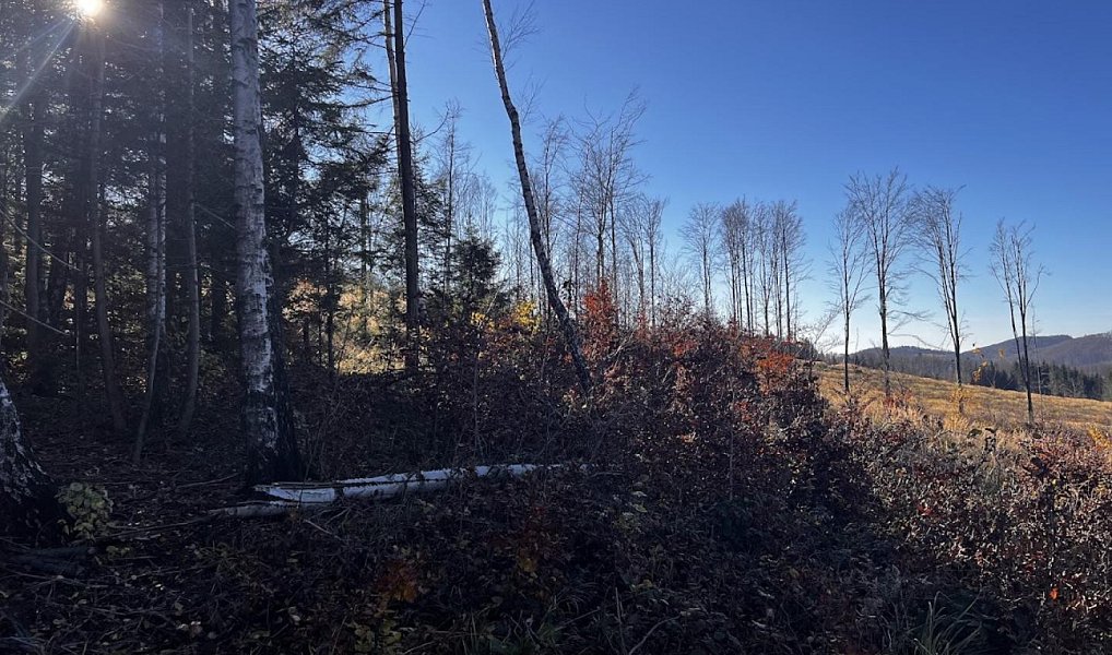 Prodej stavebního pozemku 3 129 m², Chvalčov – náhled fotky 14