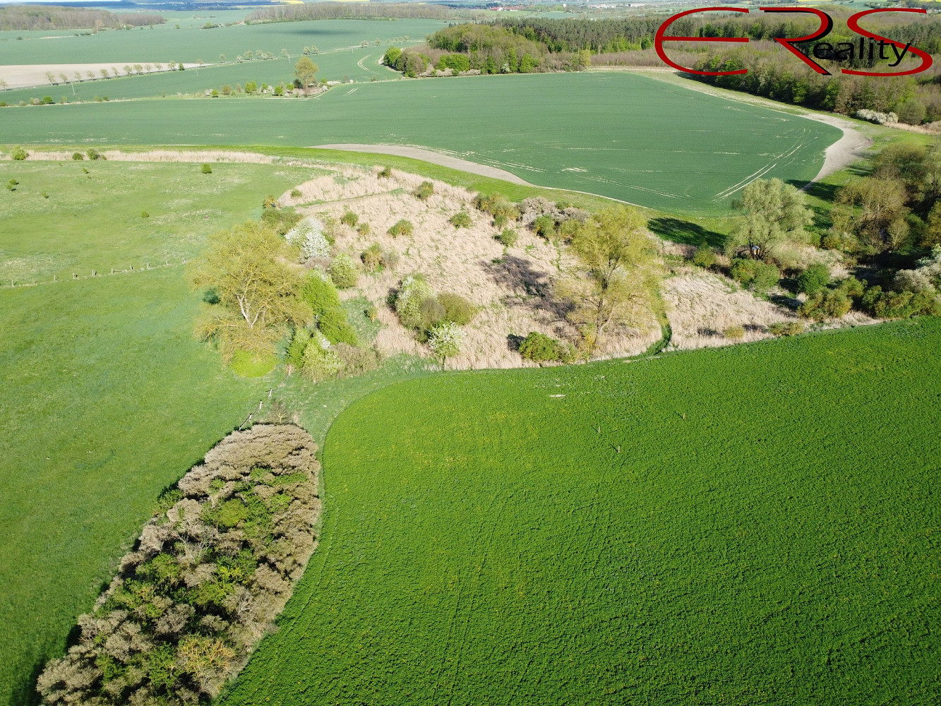 Prodej louky 28 150 m² – pohled 2