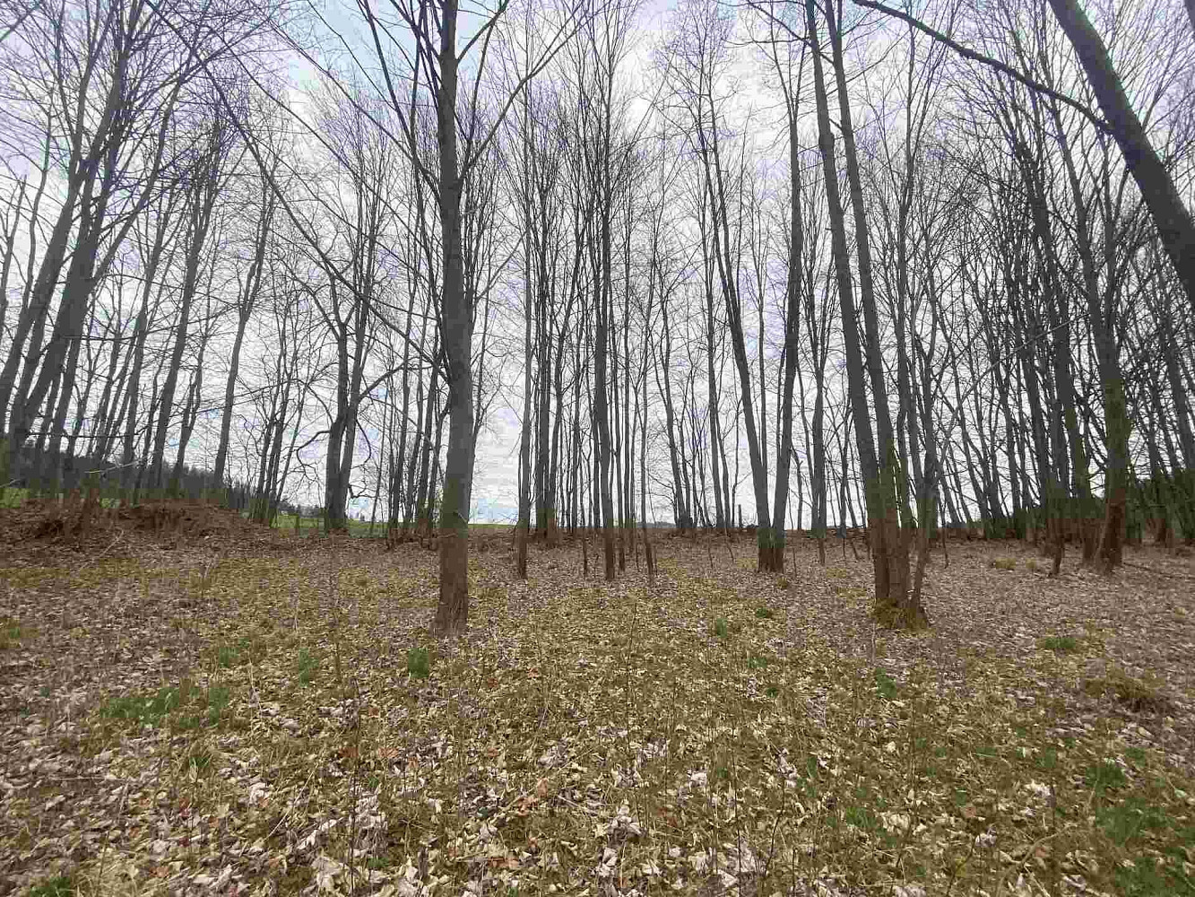 Prodej pozemku 4 837 m²