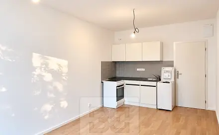 Pronájem bytu 1+kk 22 m², Havlovického, Praha 4 - Hodkovičky