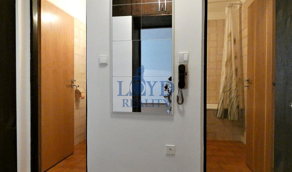 Pronájem bytu 1+1 40 m², Karlovy Vary – náhled fotky 8