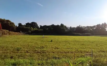 Prodej stavebního pozemku 795 m², Čechočovice, okres Třebíč