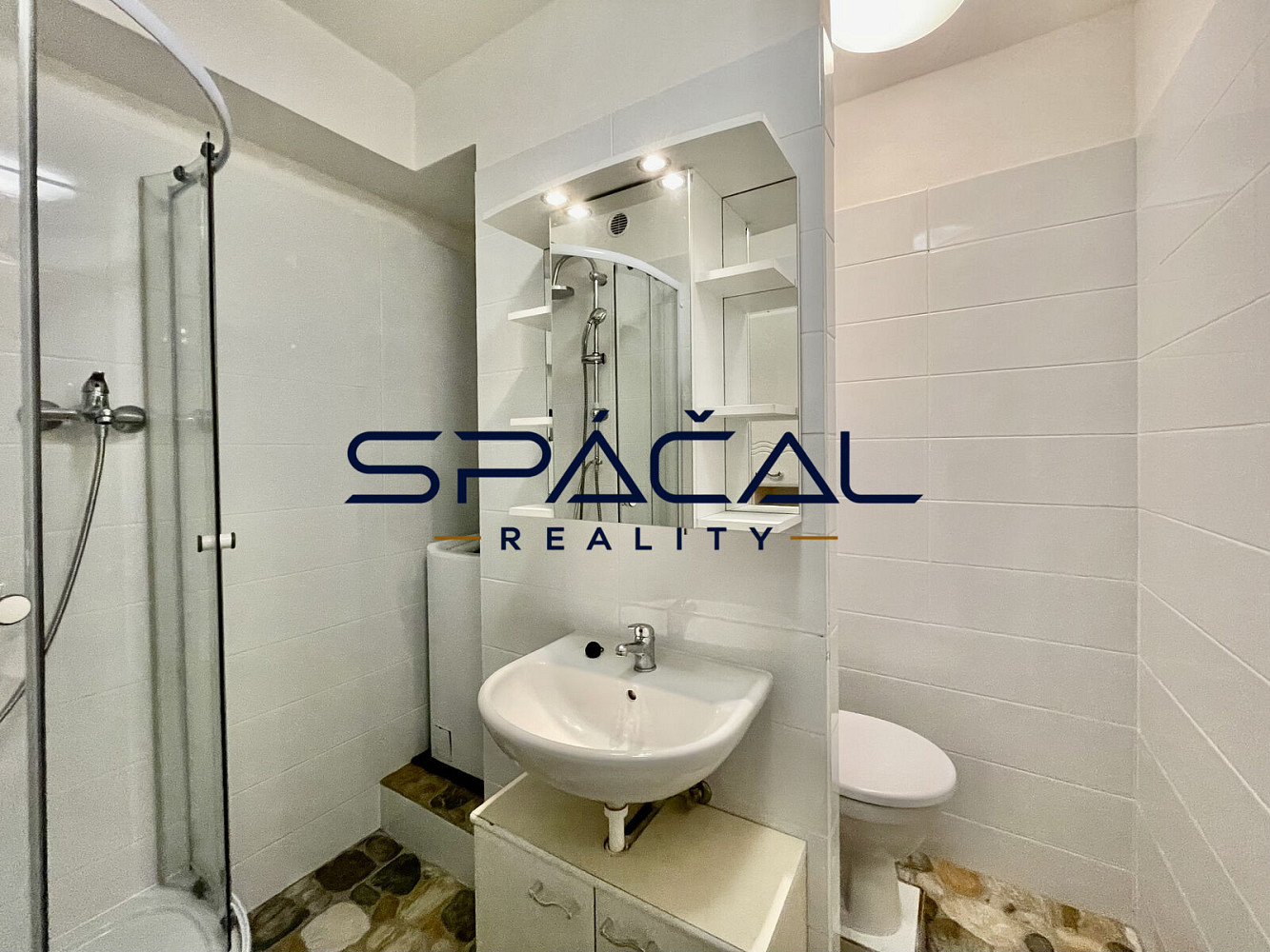 Pronájem bytu 1+1 35 m² – fotografie 4