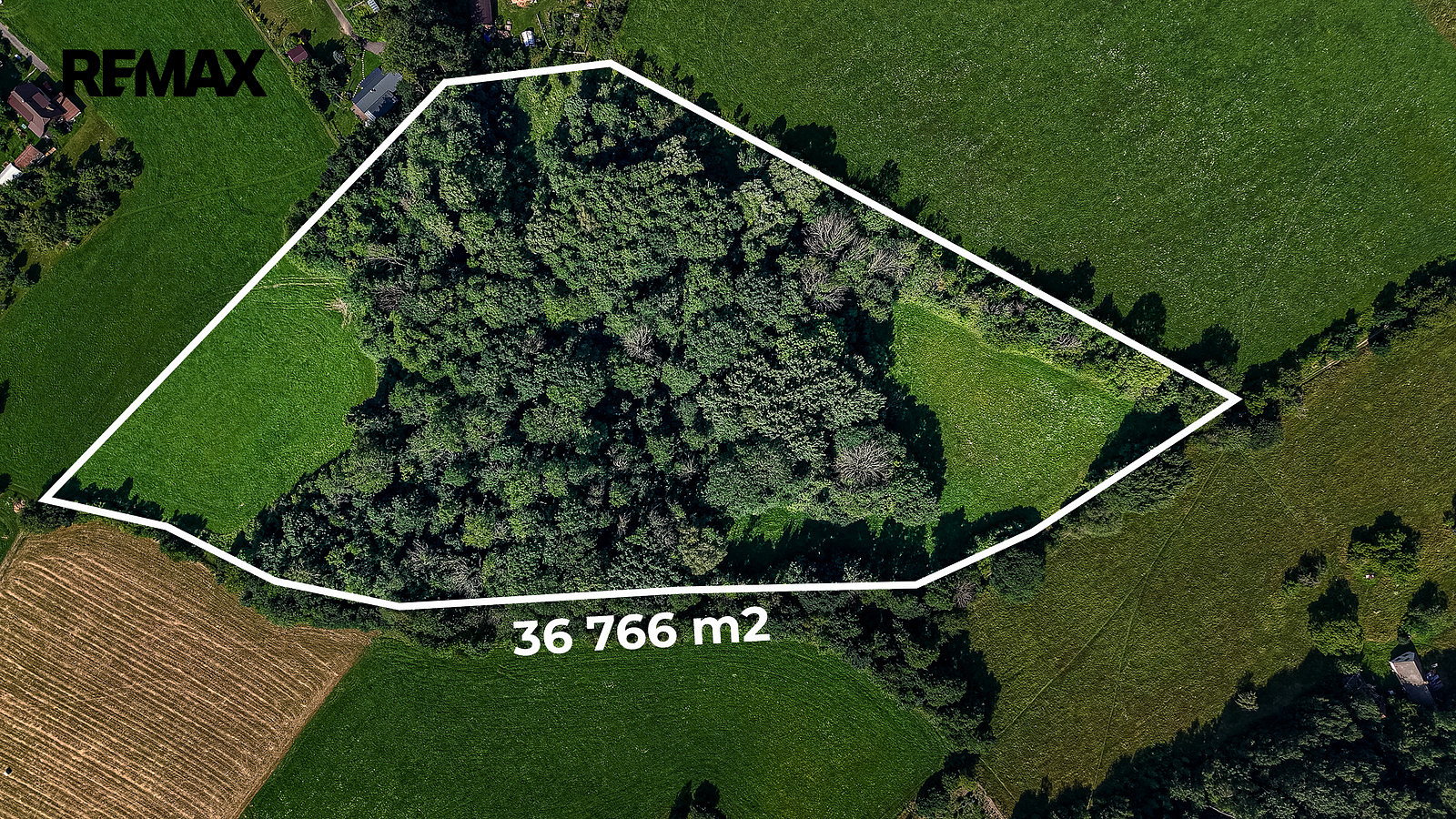Prodej louky 36 931 m²