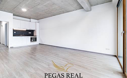 Pronájem bytu 1+kk 37 m², Košinova, Brno - Královo Pole