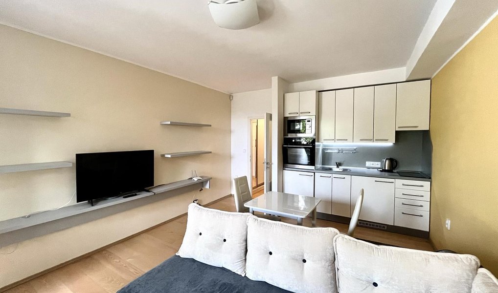 Pronájem bytu 1+kk 29 m², Frýdek-Místek – náhled fotky 3