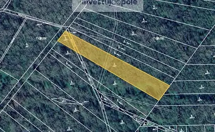 Prodej lesa 2 512 m², Kravaře, okres Opava