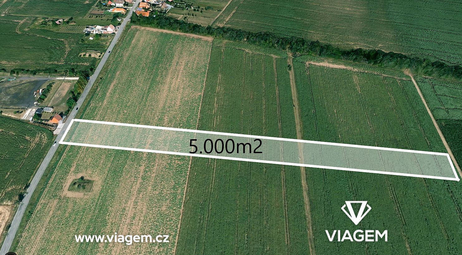 Prodej pole 5 000 m²