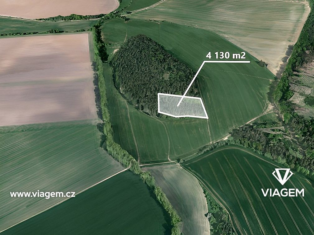 Prodej lesa 1 150 m²