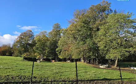 Prodej pozemku 2 133 m², Zlaté Hory, okres Jeseník