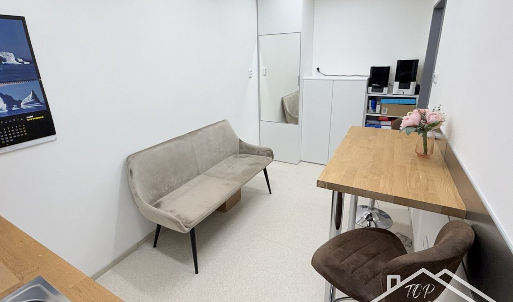 Pronájem komerčního objektu (jiného typu) 74 m², Kutná Hora – náhled fotky 11