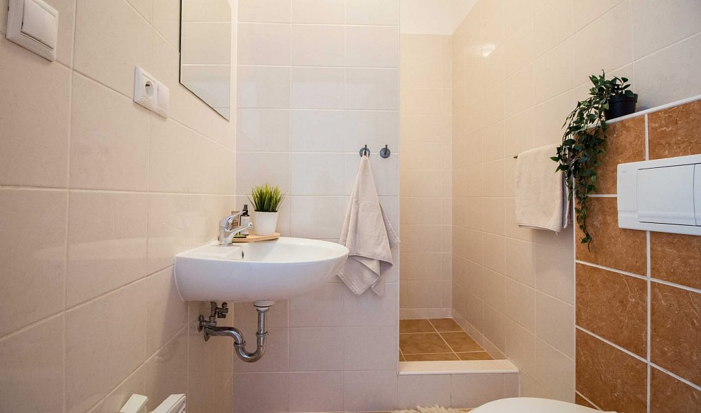 Pronájem bytu 1+kk 25 m², Brno – náhled fotky 9