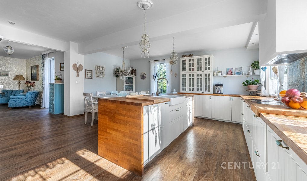 Prodej domu 340 m² s pozemkem 1 893 m², Družec – náhled fotky 7