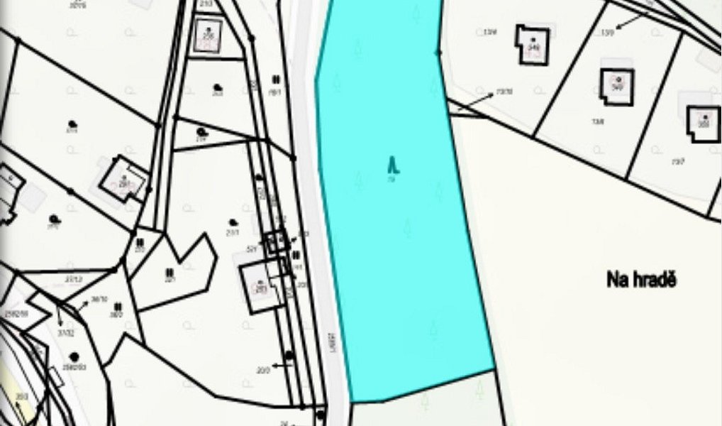 Prodej lesa 4 922 m², Benešov u Semil – náhled fotky 6
