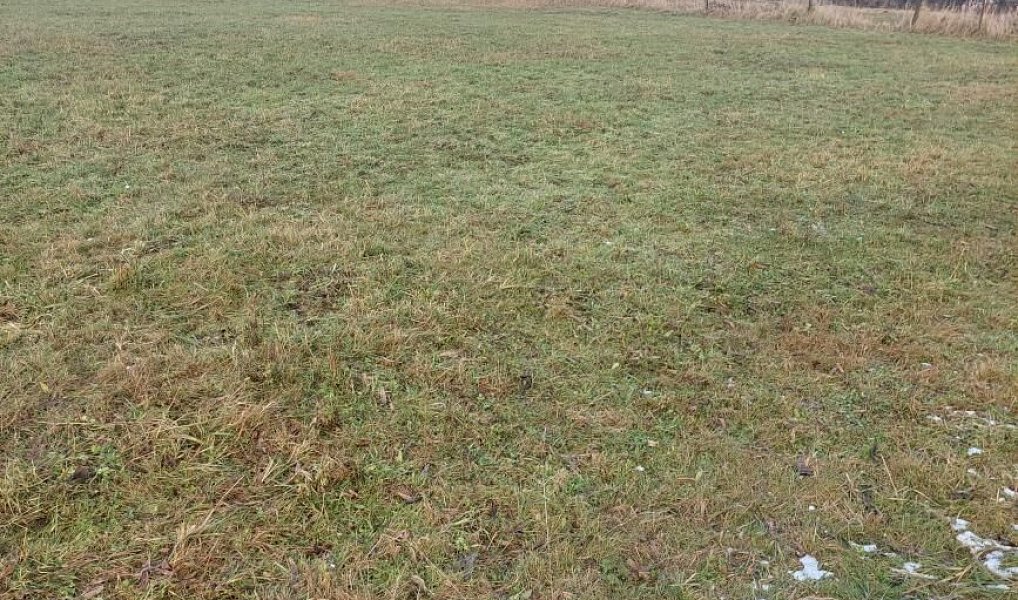 Prodej stavebního pozemku 79 m², Tršice – náhled fotky 2