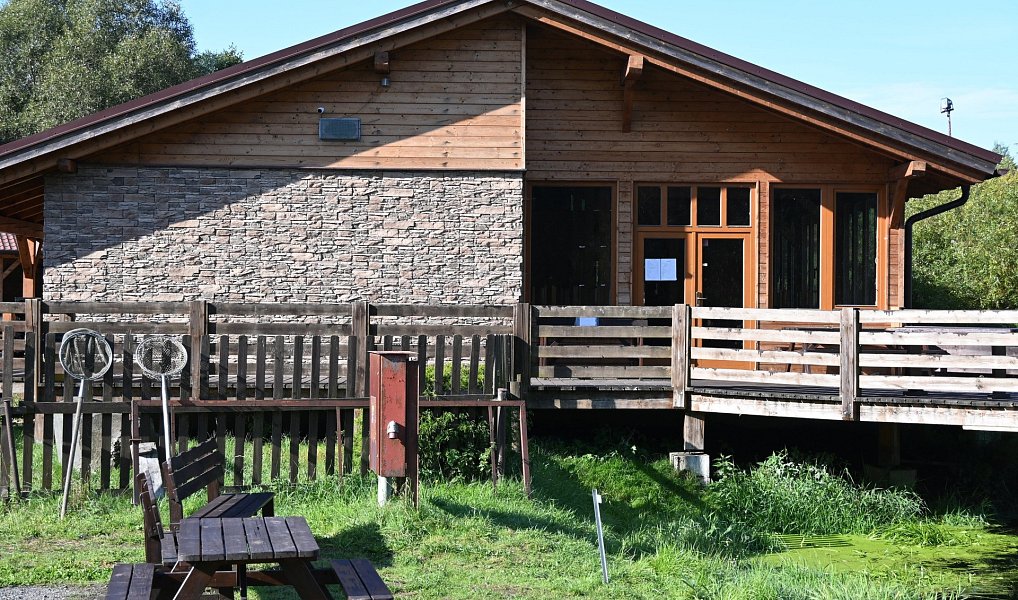 Prodej komerčního objektu (jiného typu) 5 700 m², Lomnice – náhled fotky 2