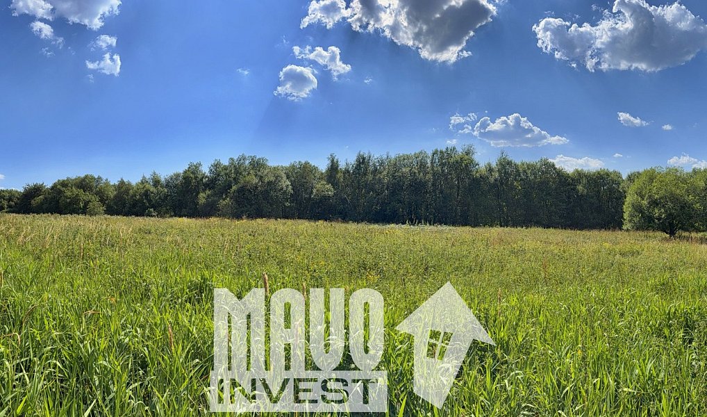 Prodej louky 118 619 m², Petrovice – náhled fotky 7