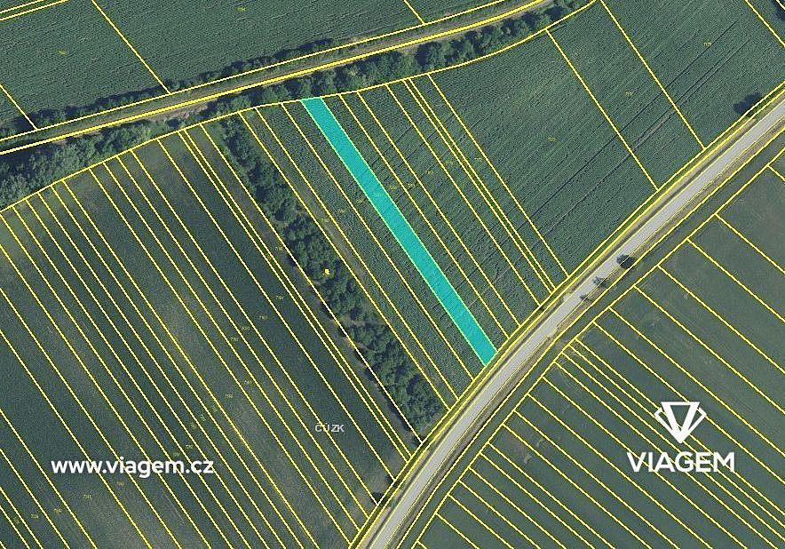 Prodej pole 1 800 m² – fotografie 3