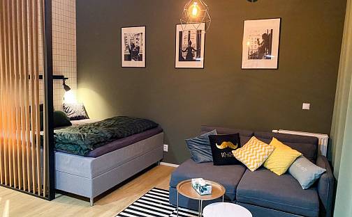 Pronájem bytu 1+kk 39 m², Spolková, Brno - Zábrdovice