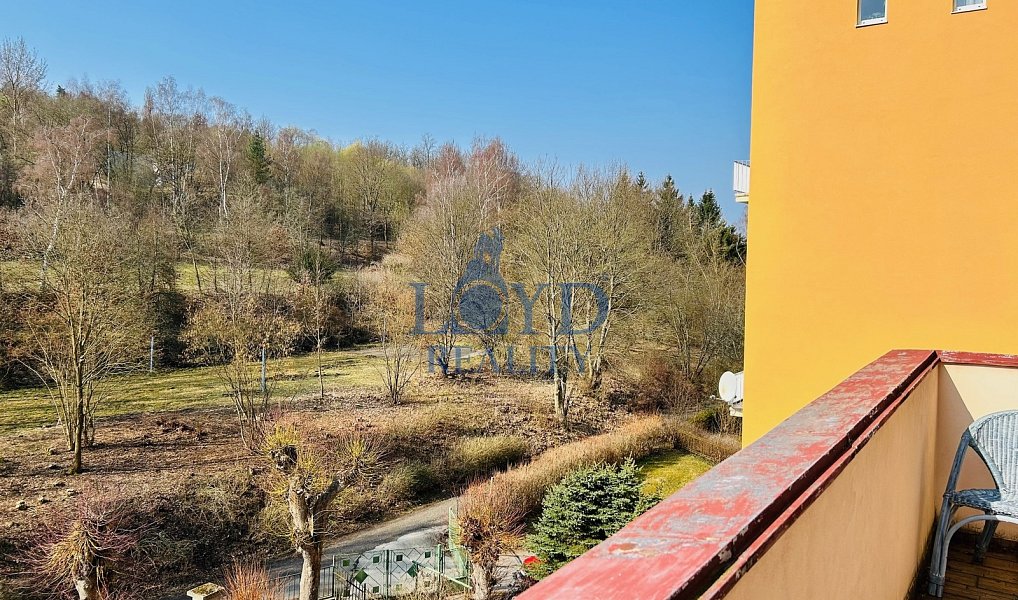 Prodej bytu 2+1 92 m², Karlovy Vary – náhled fotky 3